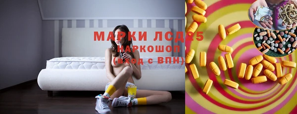 ГАЛЛЮЦИНОГЕННЫЕ ГРИБЫ Липки