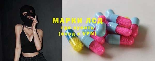 ГАЛЛЮЦИНОГЕННЫЕ ГРИБЫ Липки