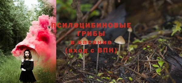 ГАЛЛЮЦИНОГЕННЫЕ ГРИБЫ Липки